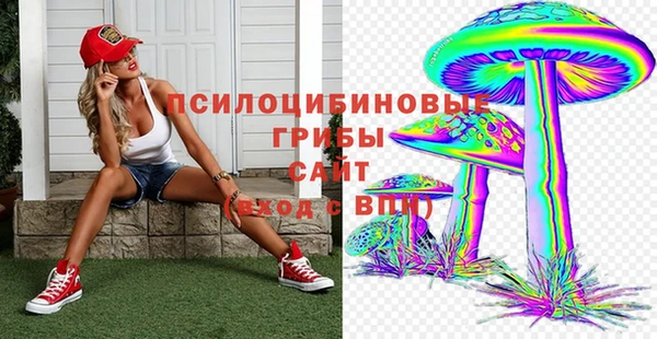 Альфа ПВП Армянск