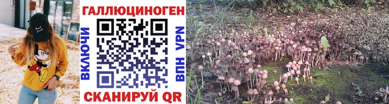 Псилоцибиновые грибы мухоморы  Рошаль 
